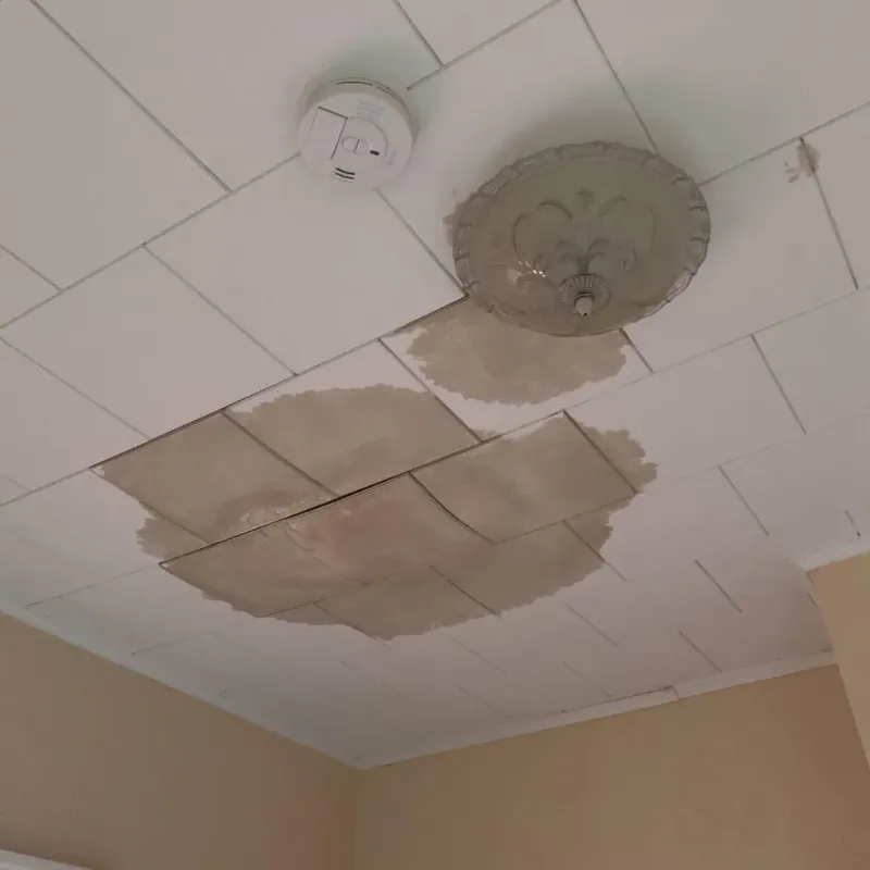 Ceiling Water Damage Repair in East Flat Rock, NC